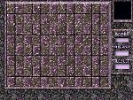 vbrd_stoneshine