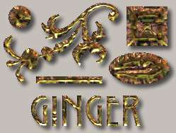 Ginger