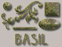 Basil