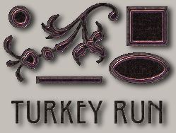 TurkeyRun