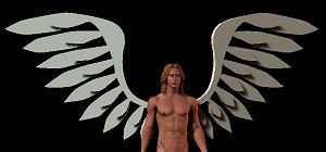 Ironwings
