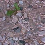 gravel05