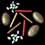 CandyAsst.