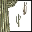 Cactus2