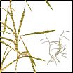 GoldenWindygrass