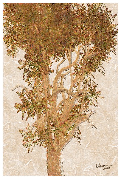 SAutumnTree