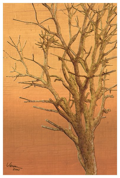 SWinterTree