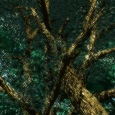 InTheTrees