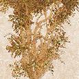 SAutumnTree