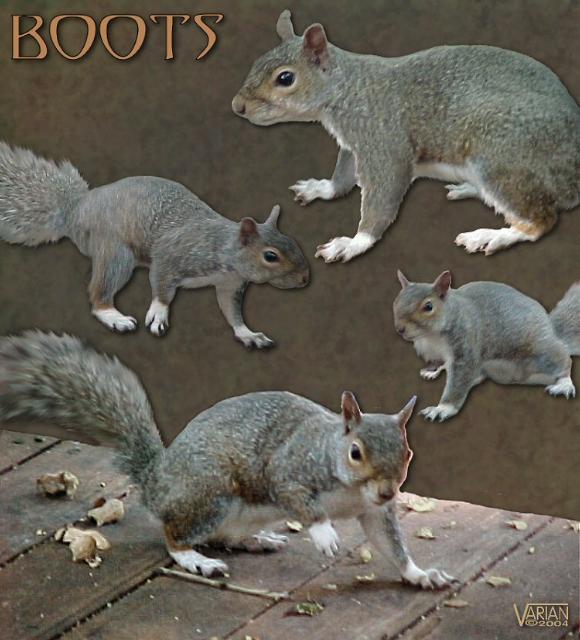 Boots composite